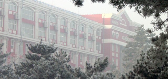 bobo浏览器无国界手机版登录